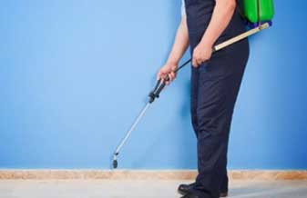 Dedetizadora Mata Bem - Foto 1