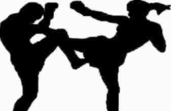 Centro de Treinamento Black Tiger Muaythai - Foto 1