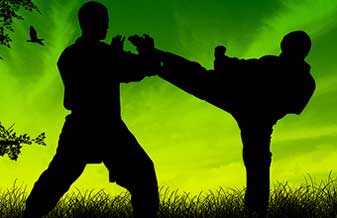 Federação Goianá de Tae Kwon Do - Foto 1