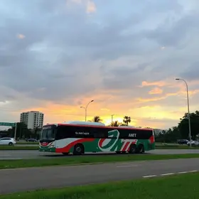 ANTT autoriza Viação Novo Horizonte a operar linha Aparecida de Goiânia (GO) – Valença (BA)