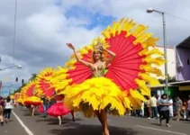 carnaval em Goiânia