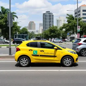credenciais de estacionamento especial Goiânia