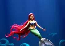 A Pequena Sereia O Musical