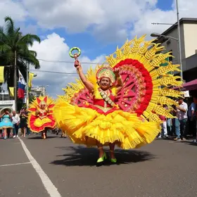 Carnaval em Goiânia