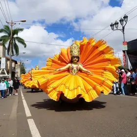 o que abre e fecha no carnaval em goiás