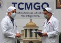 relatório do tcmgo