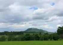 delegação do ceará