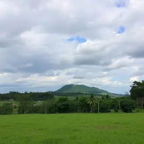 delegação do ceará