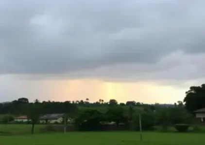 Últimas noticias de Goiânia