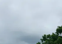 Goiânia previsão do tempo
