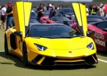 Lamborghini leilão Goiânia