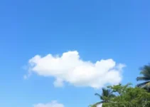 semana em Goiânia