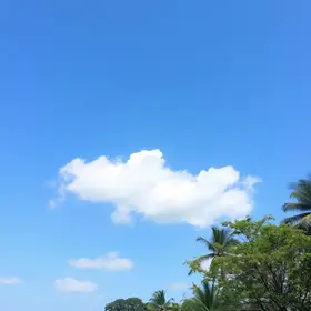 semana em Goiânia