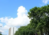 Goiânia projetos climáticos jovens