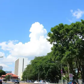 Goiânia projetos climáticos jovens