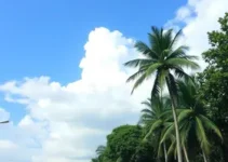 previsão do tempo em Goiânia hoje