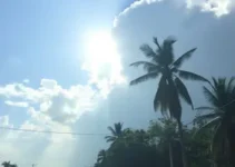 calor intenso e tempo seco