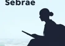 Processo Seletivo Trainee Sebrae Goiás