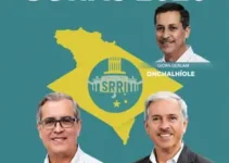 candidatos a senador por Goiás