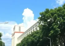 edital aparecida de goiânia
