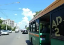 transporte gratuito
