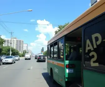transporte gratuito
