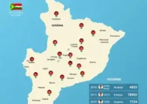 apuração presidencial por zona eleitoral em Goiânia