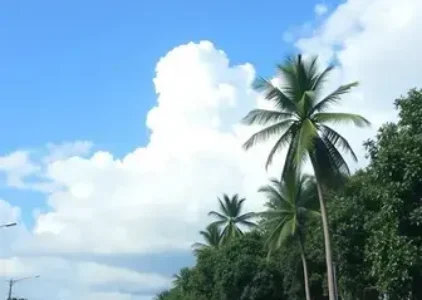 Últimas noticias de Goiânia