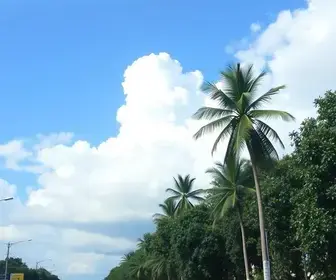 previsão do tempo em Aparecida de Goiânia